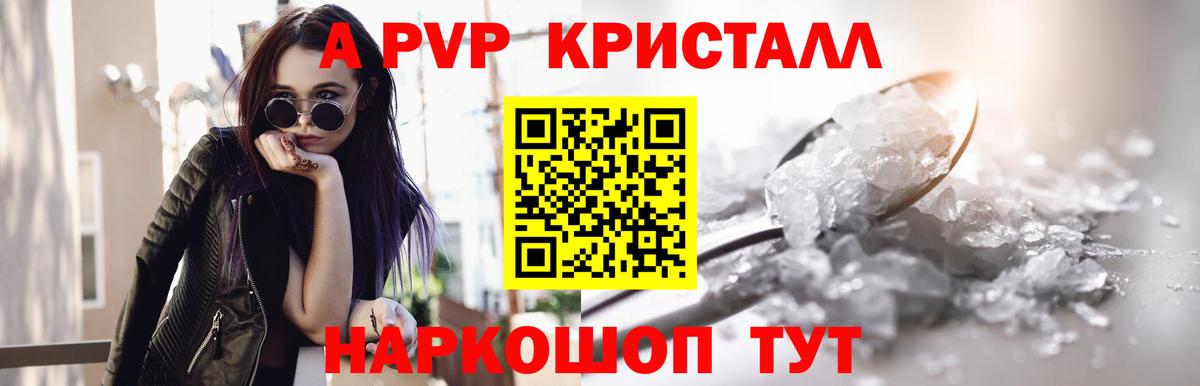 A PVP СК КРИС Клинцы